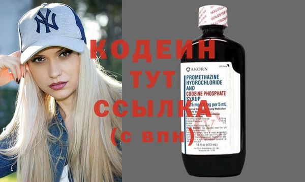 стаф Вязьма