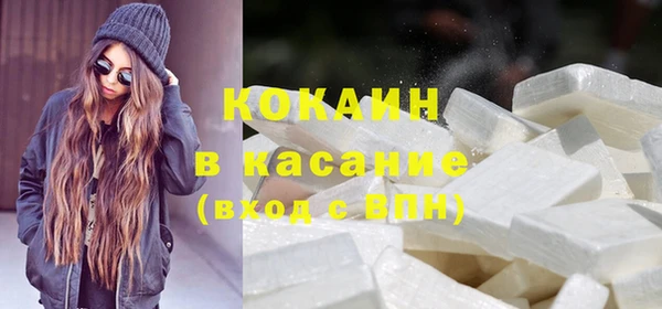 стаф Вязьма