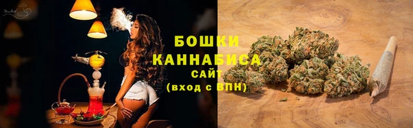 мдпв Володарск