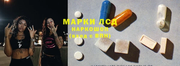 прущий лед Вяземский
