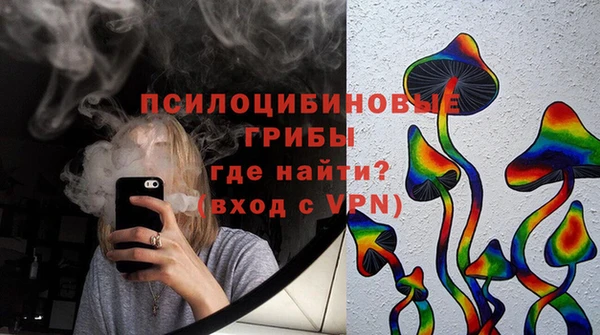 прущий лед Вяземский