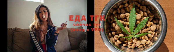 прущий лед Вяземский