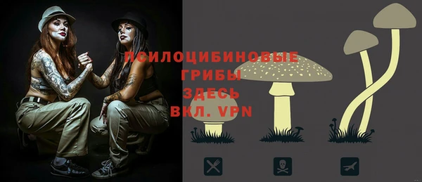 прущий лед Вяземский