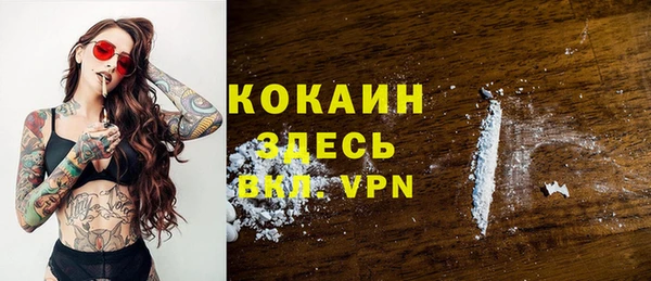 прущий лед Вяземский
