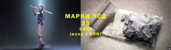 стаф Вязьма