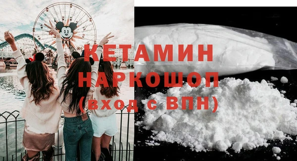 стаф Вязьма