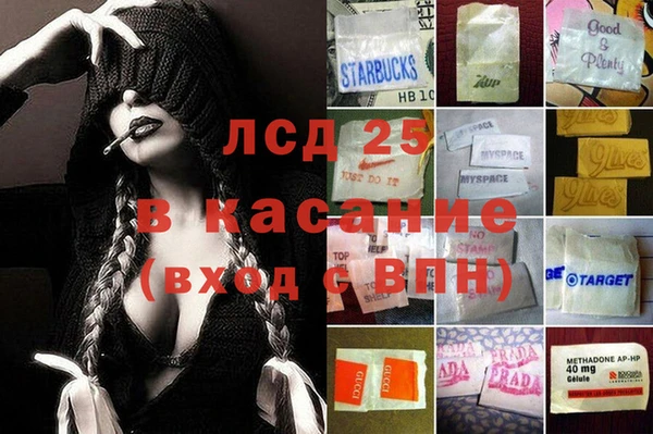 стаф Вязьма