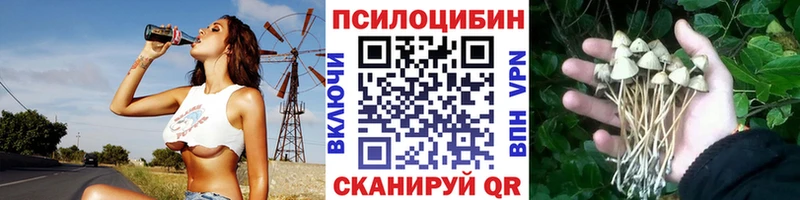 Псилоцибиновые грибы Psilocybe закладки omg Добрянка
